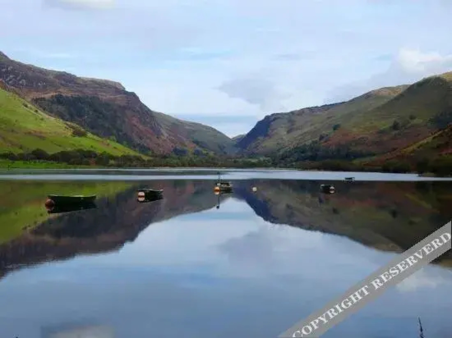 Ty Derw Country House B&B