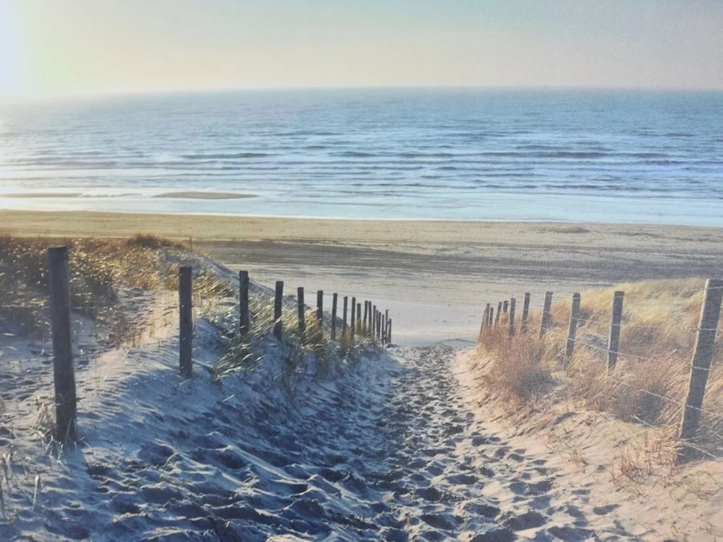 Elegant Studio Near Beach