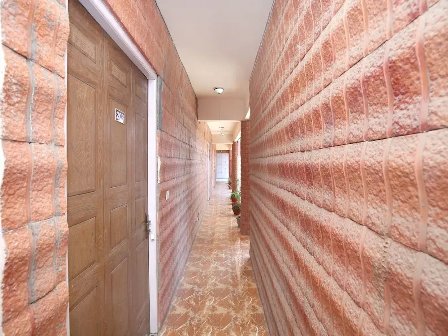 OYO 15710 Hotel Vikrant