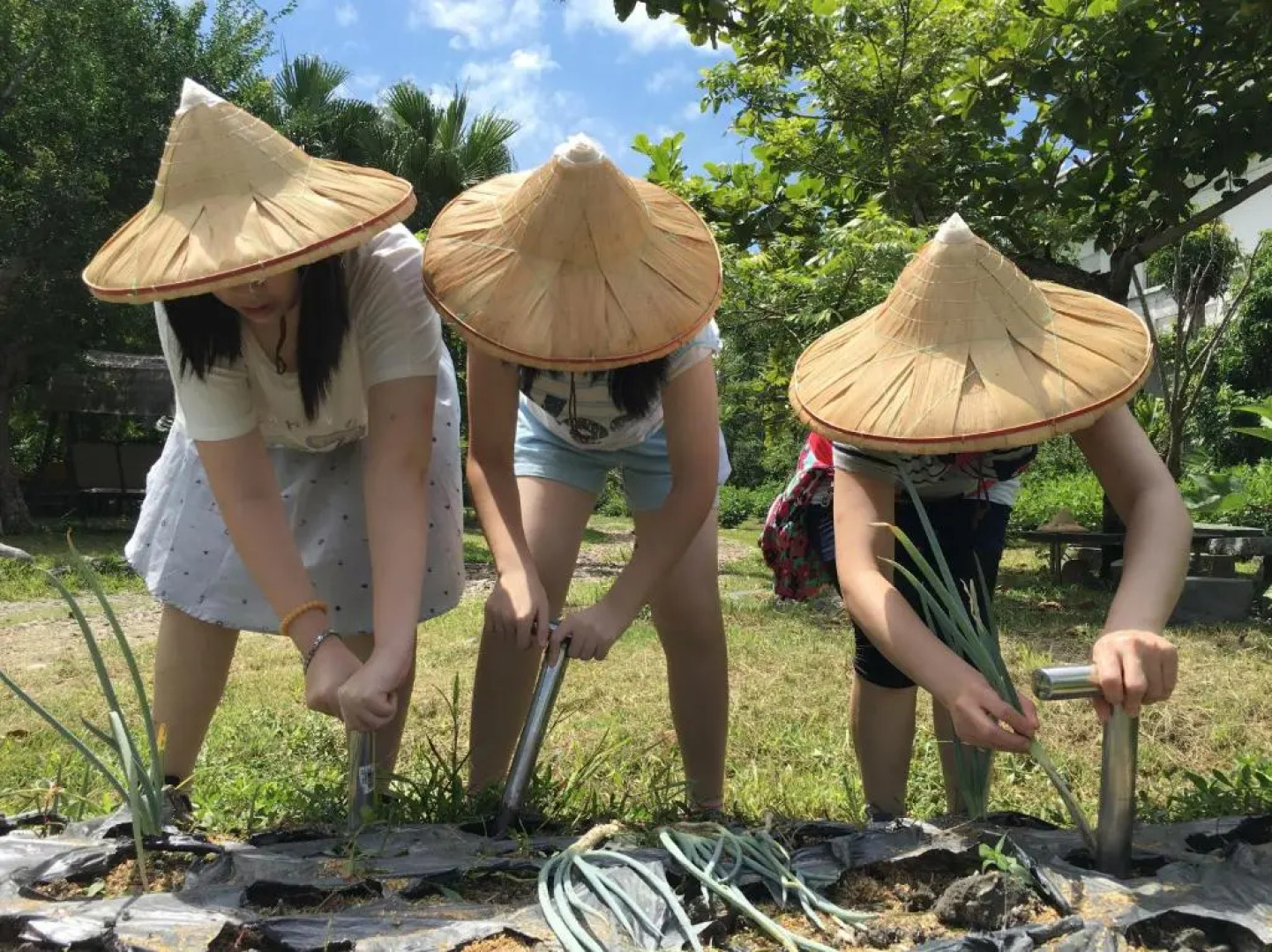 Fairy Story Village Organic Farm B&B