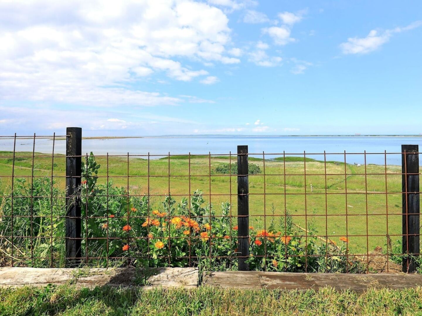 Cozy Holiday Home in Martofte With Terrace
