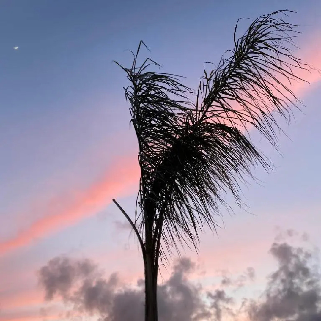 Villa Manzo-Pompei Vesuvius holiday house