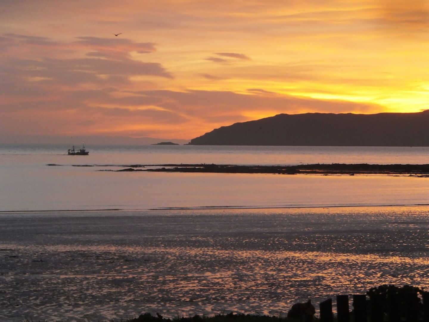 Seaside holiday Apartments