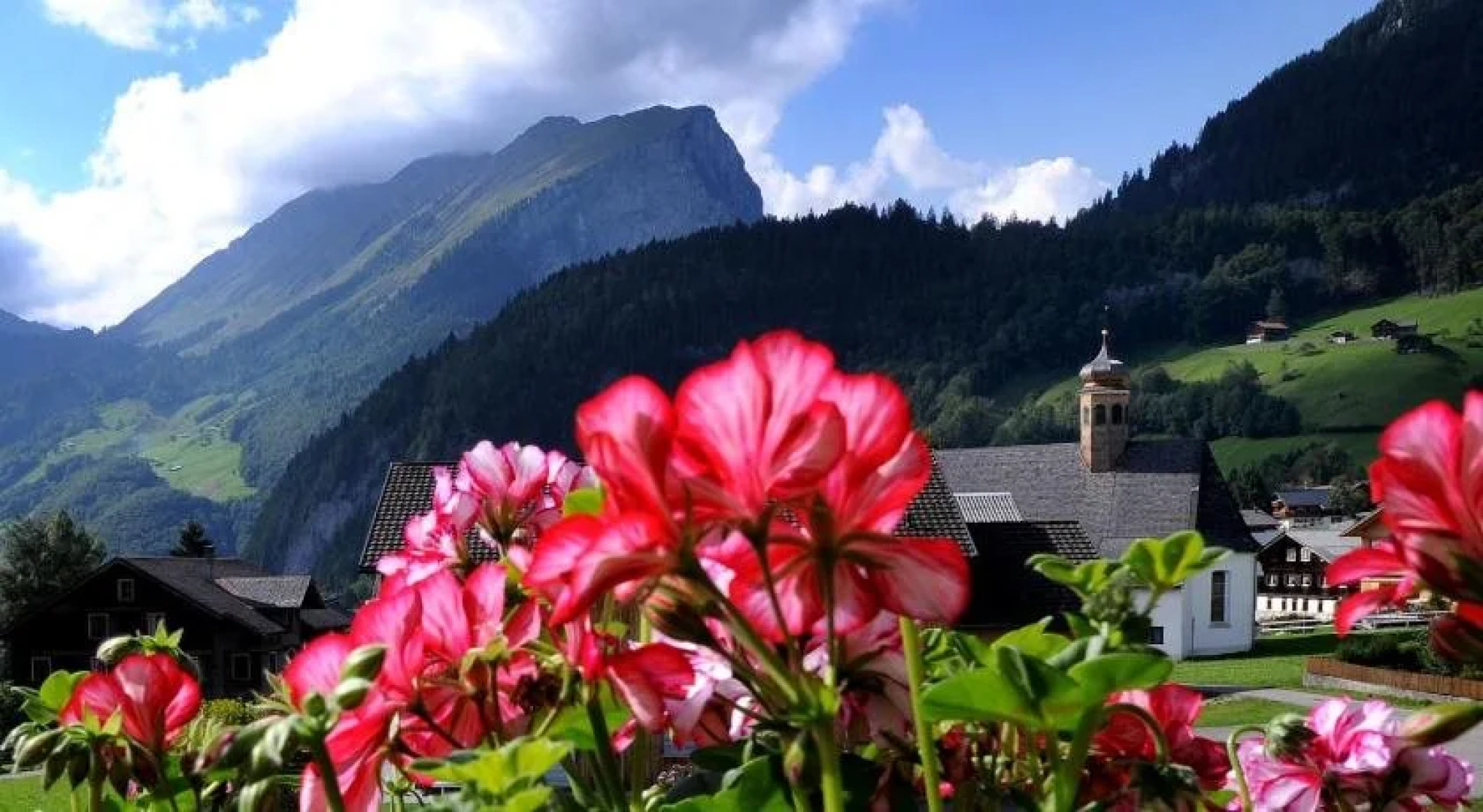 Haus Alpina