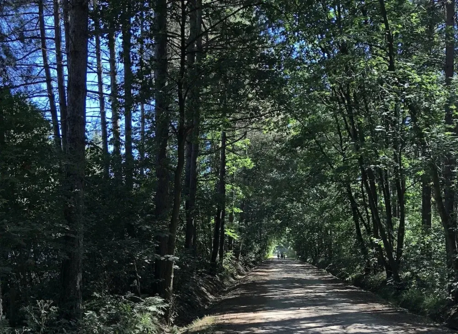 Spacious 6-person Chalet in Antwerp