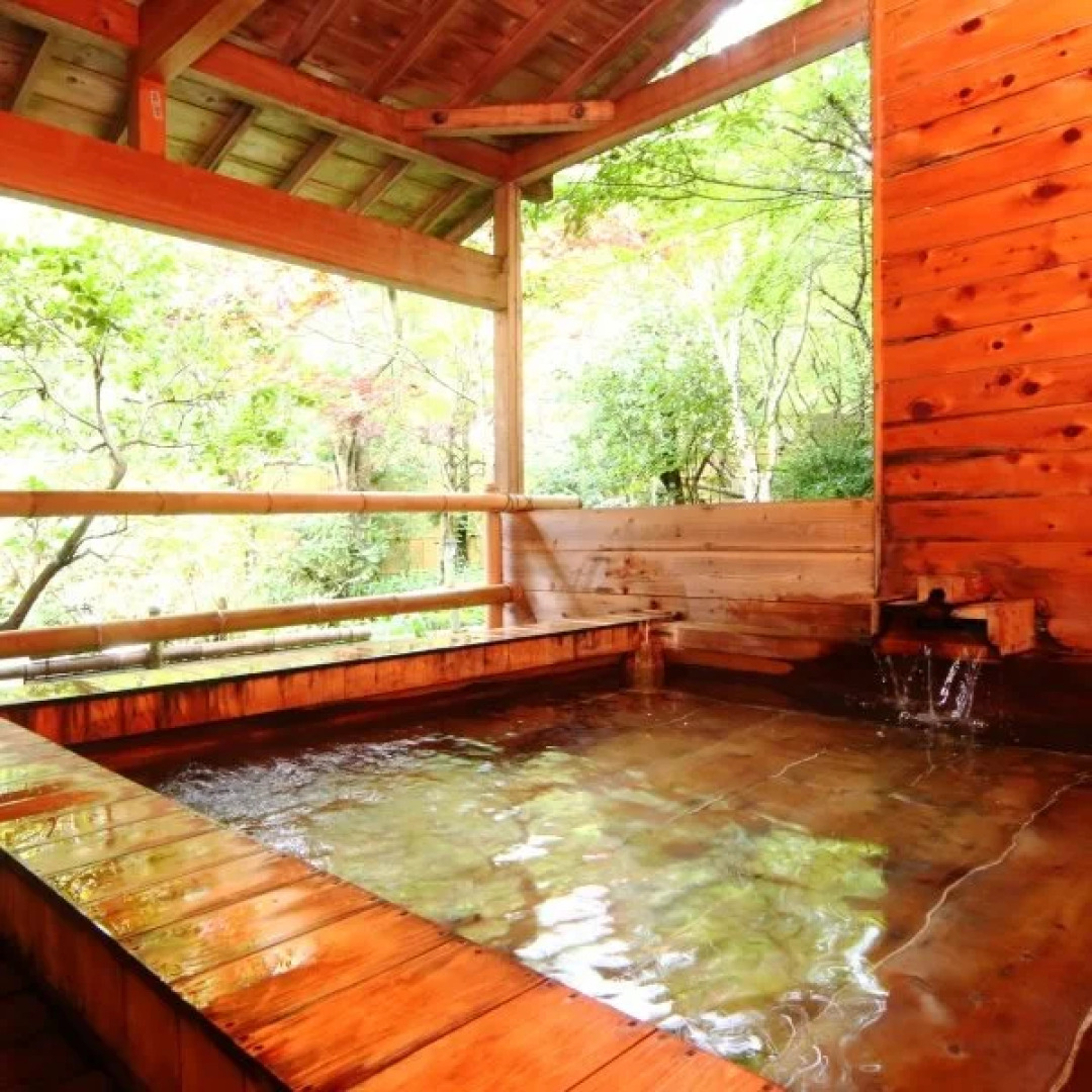 Iwasu Onsen Ryokan Iwasuso
