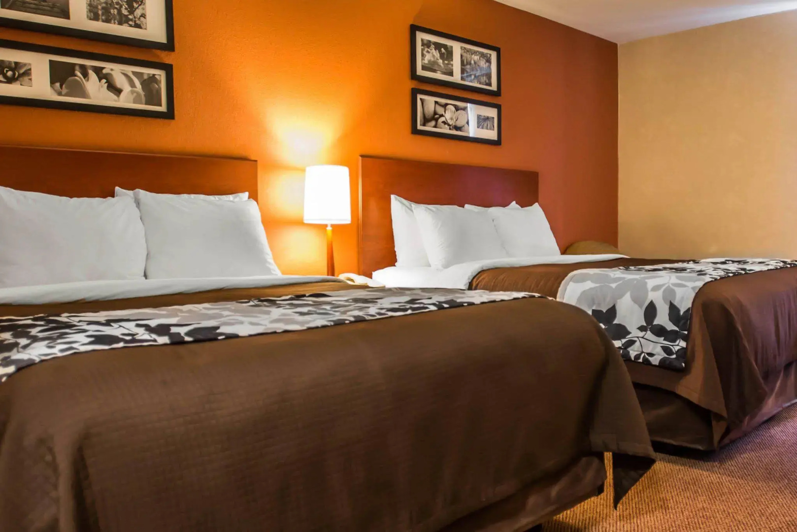 Sleep Inn & Suites Dunmore