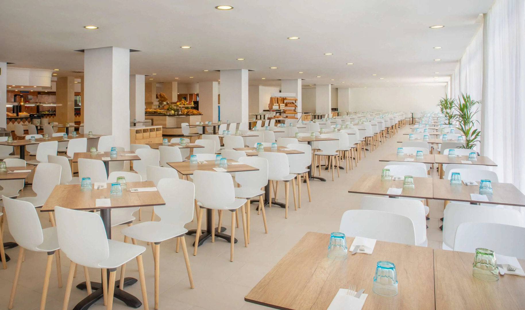 Sol Palmanova Mallorca