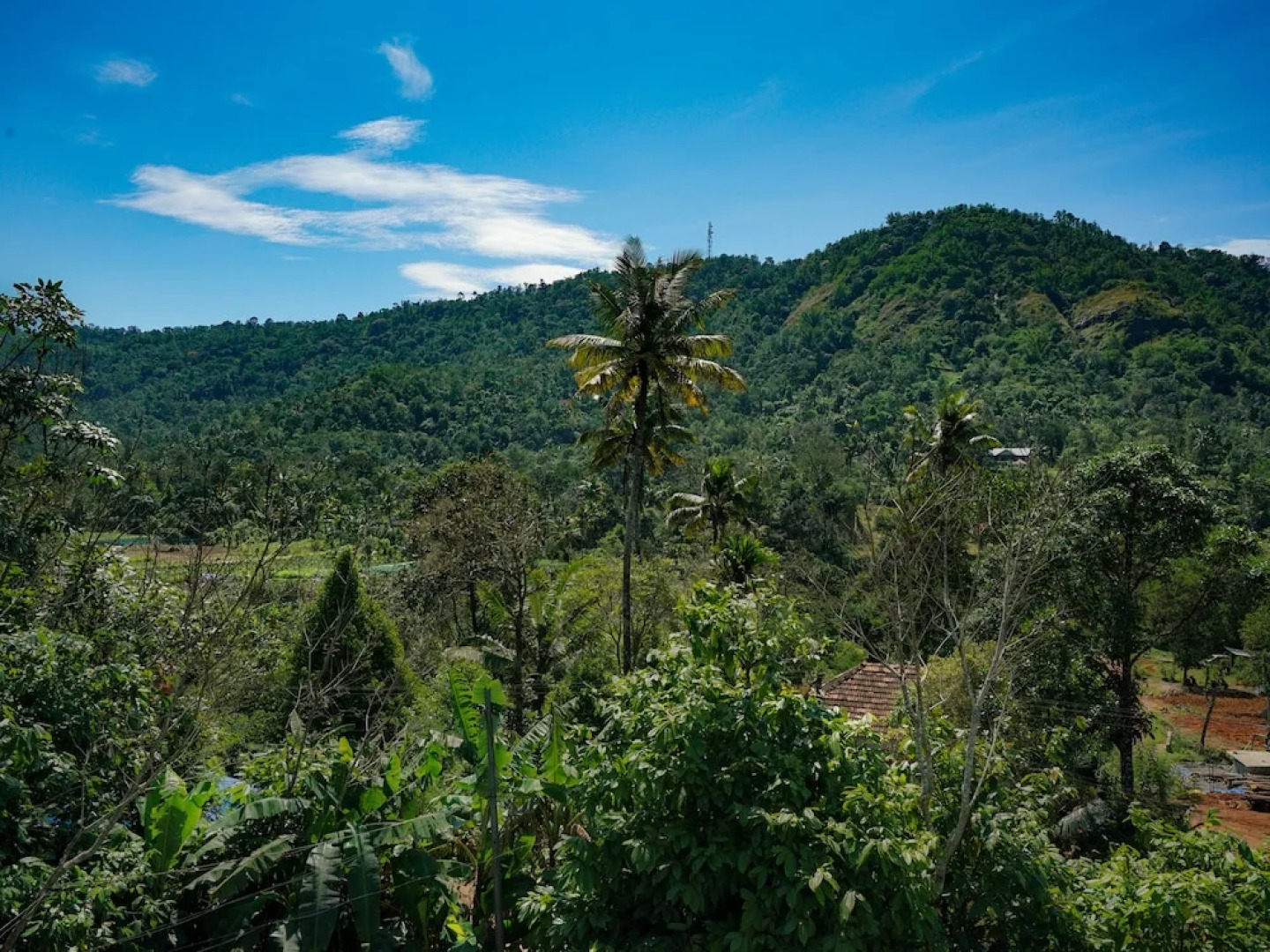 OYO Home 24477 Adorable 2BHK