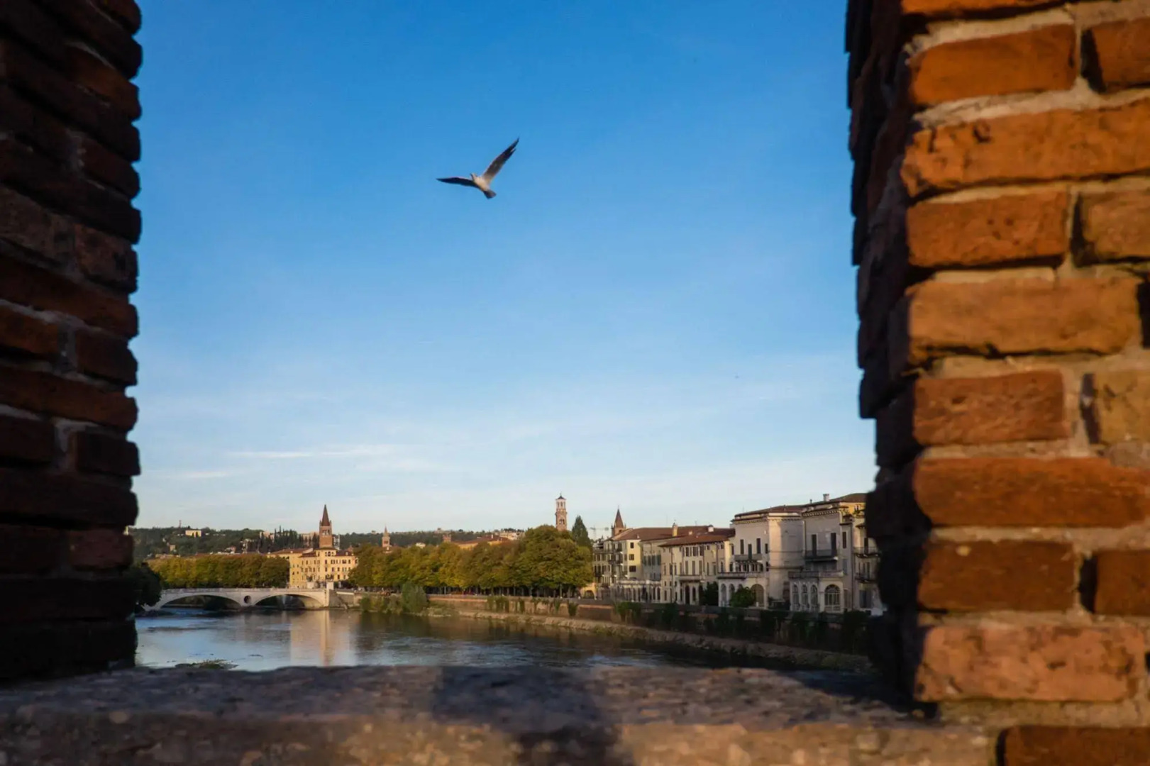 Roccaforte Scaligera