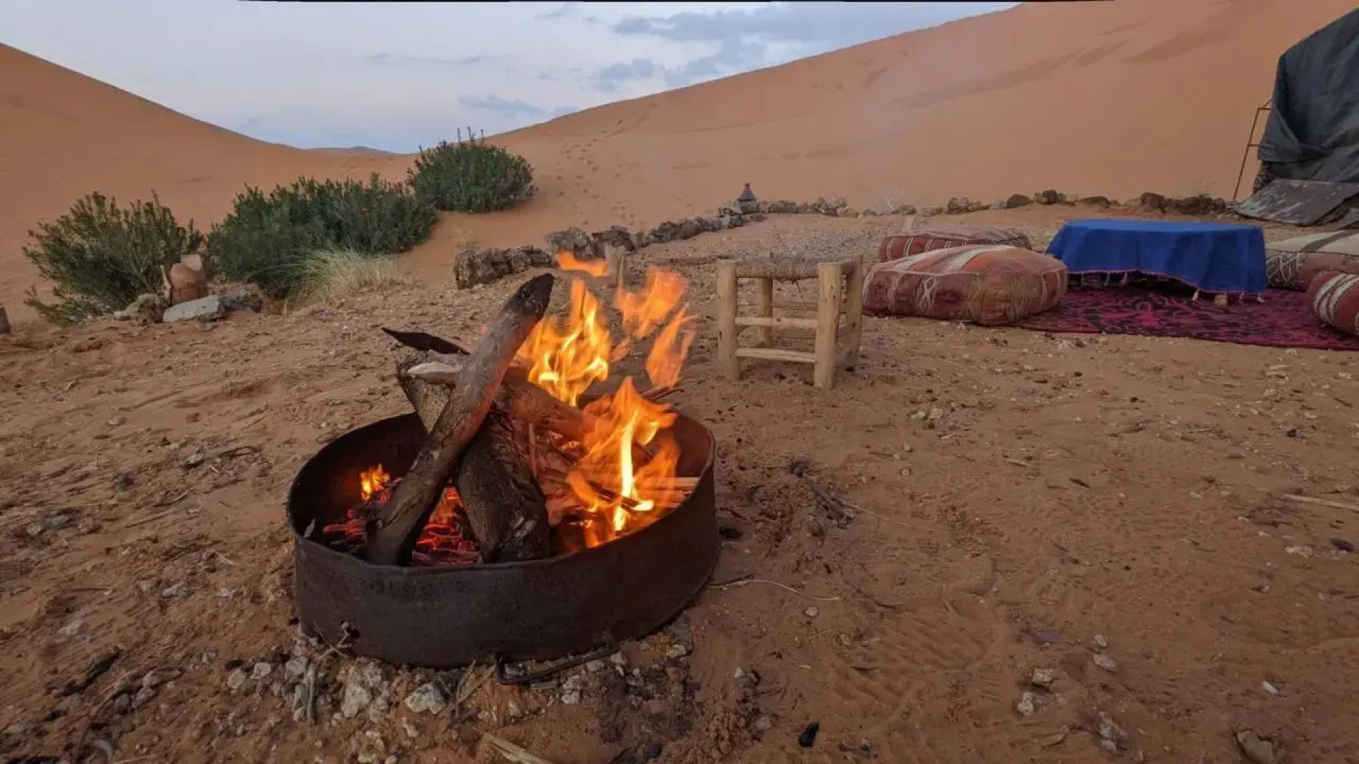 Nomadic Desert Camp Tours