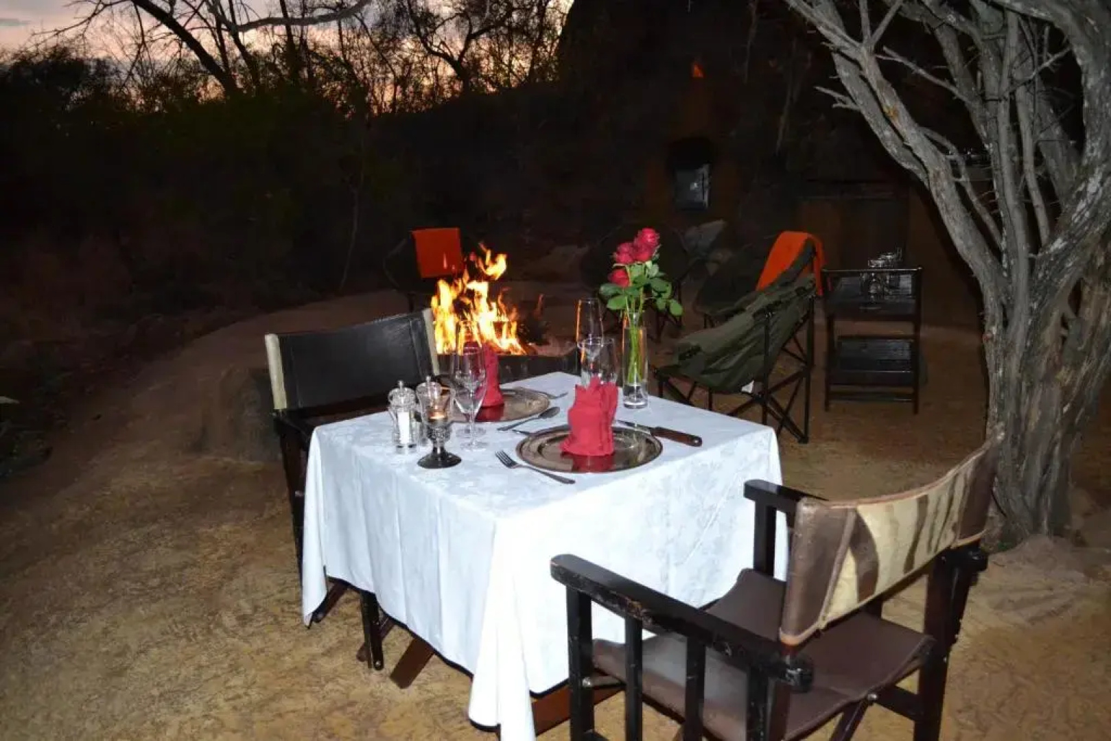 Wild & Free Game Lodge