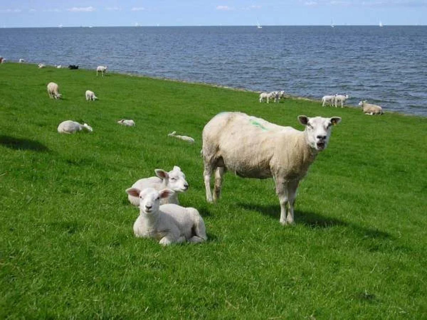 Hotel de Stadsboerderij/ Eetcafé de Brabander