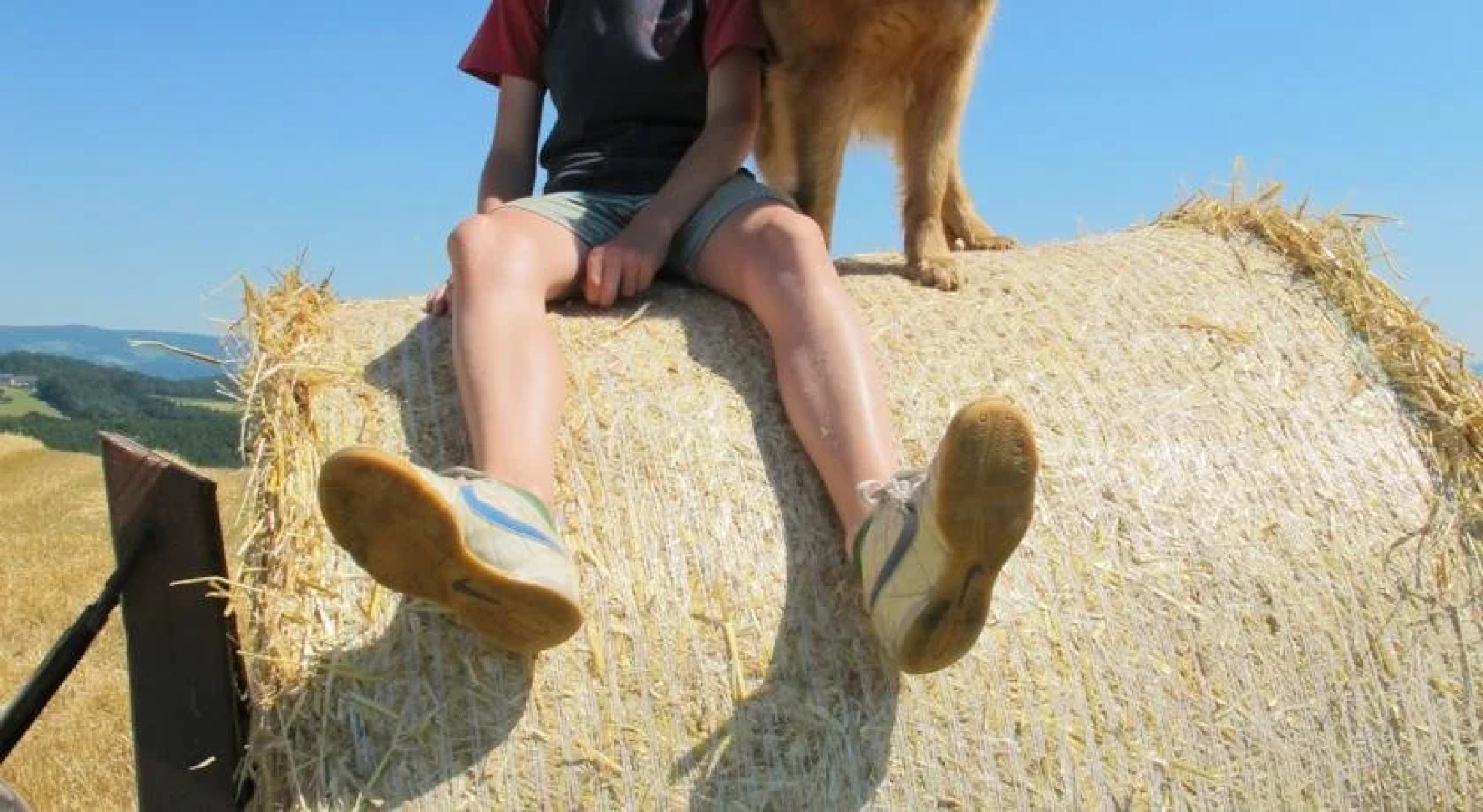 Wiesenbauer - Schlögl Anton