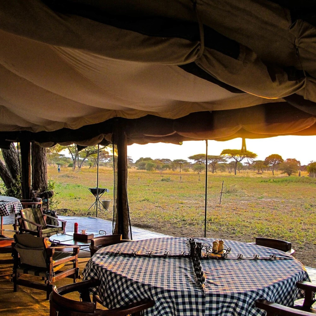 Corfield Camp Tarangire