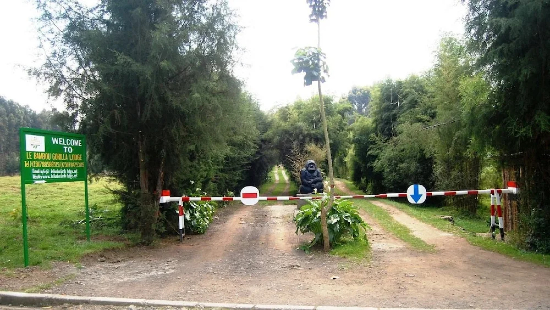 Le Bambou Gorilla Lodge