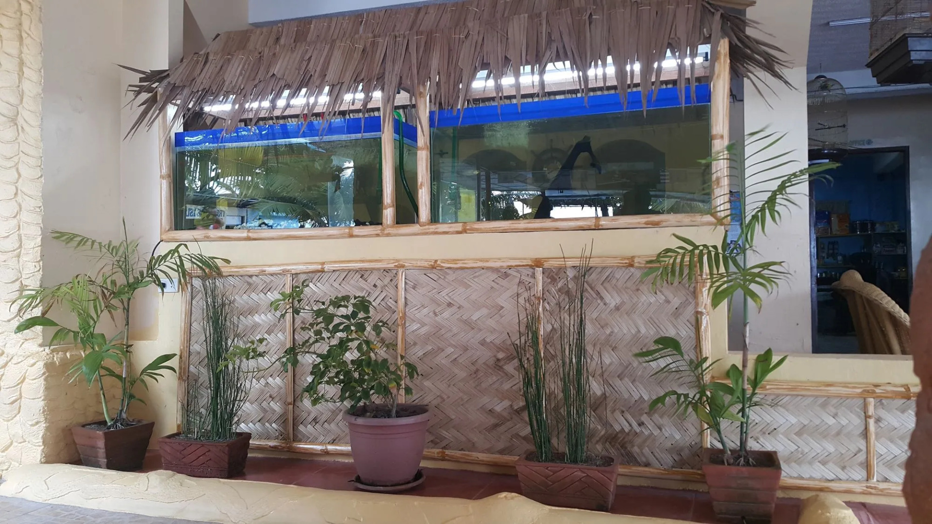 Treasure Island Resort