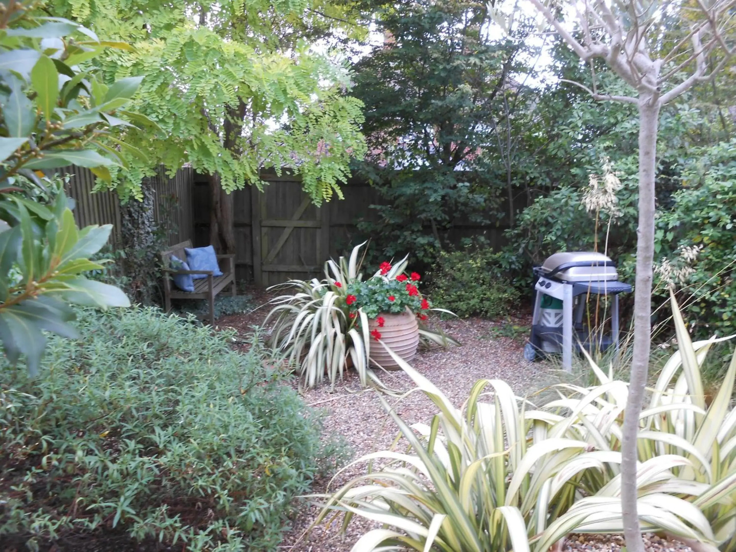 Sunnybank House in North Epsom