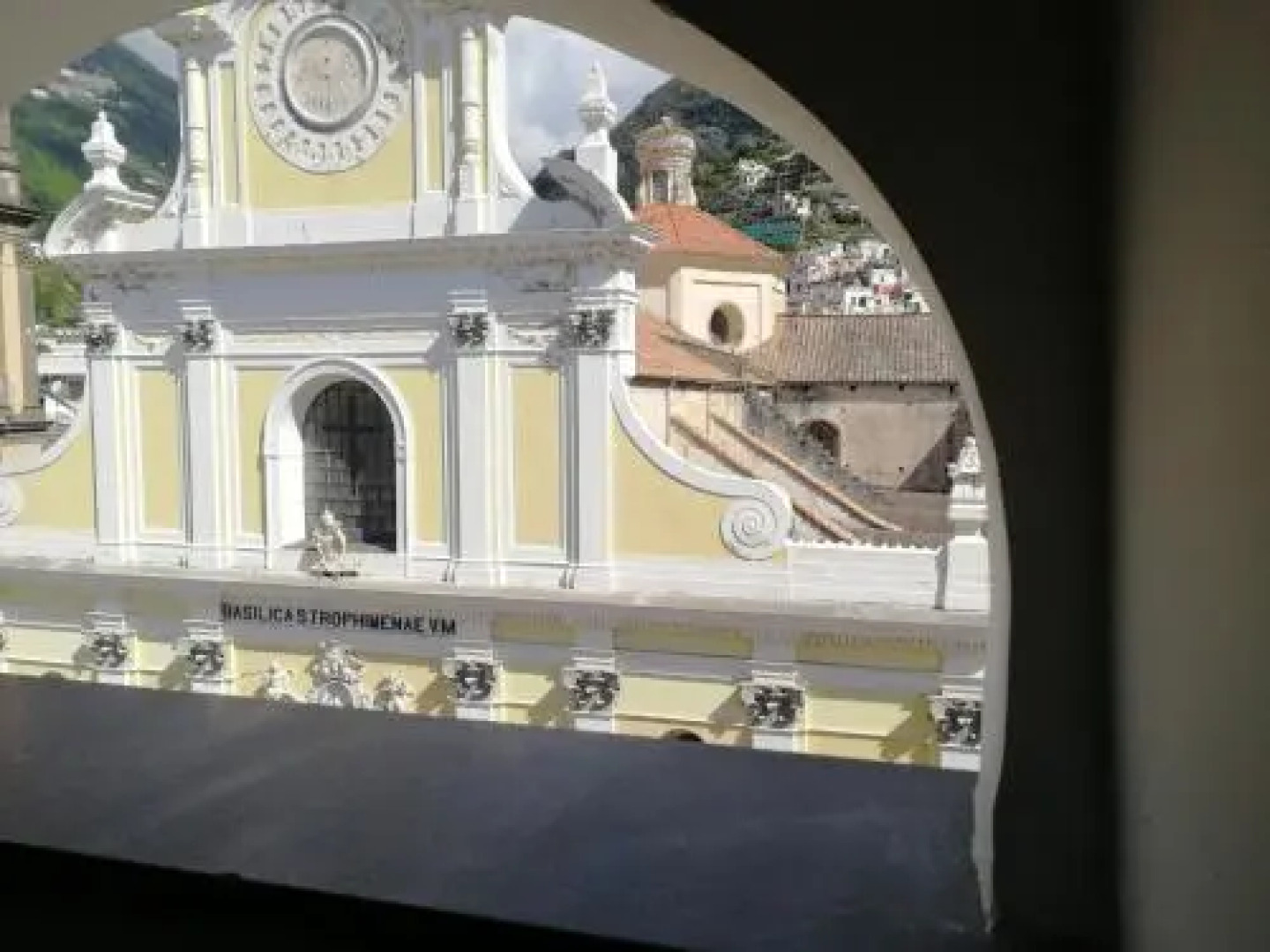 Brasca 2018 Rosa Canina