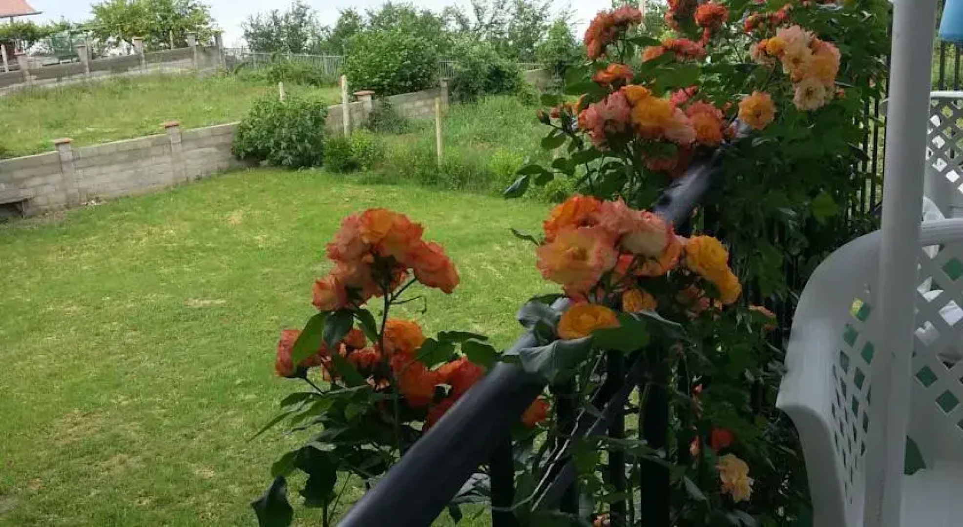 Sea View Family Hotel