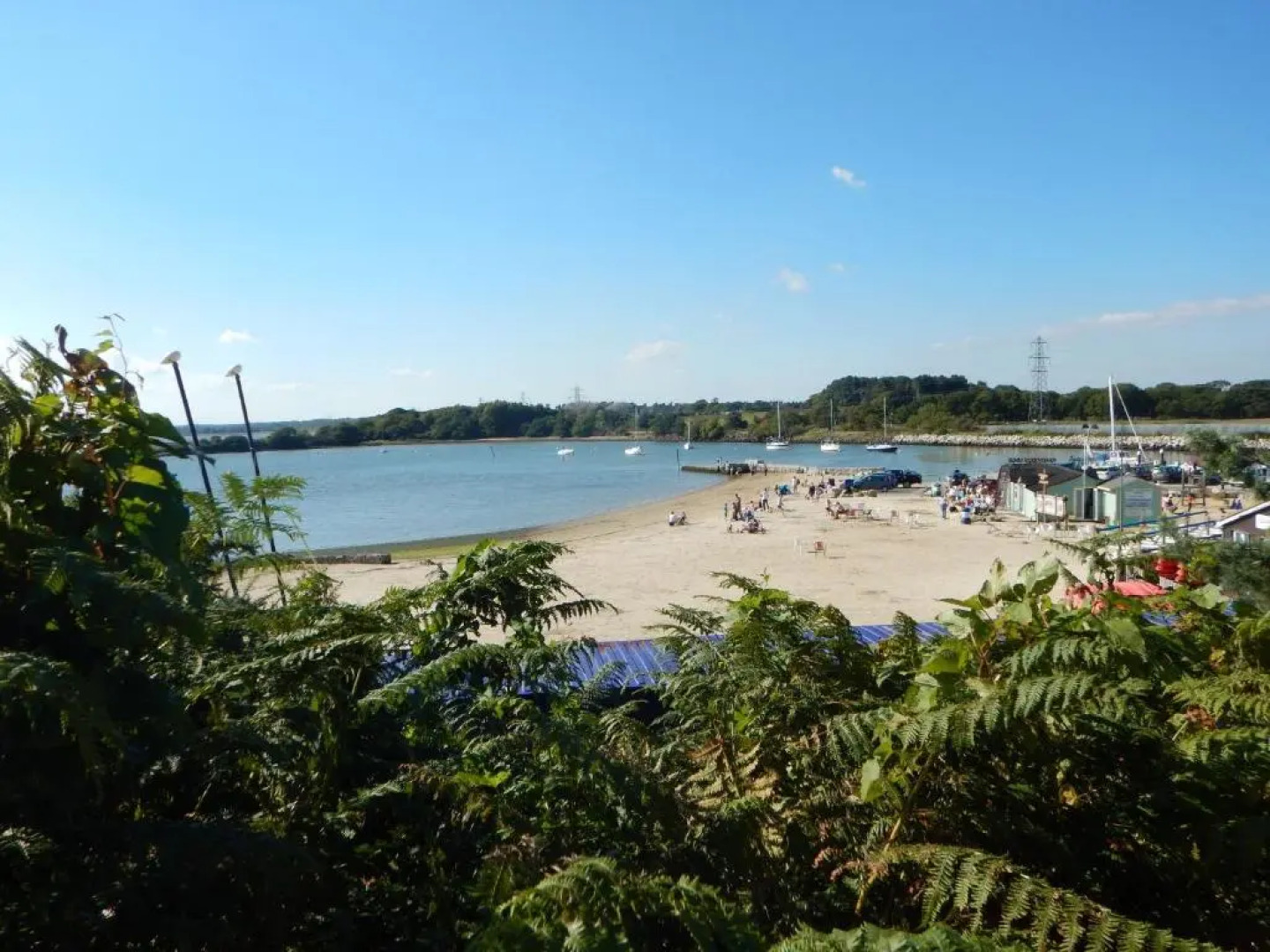 Pine Ridge 58 @ Rockley Park