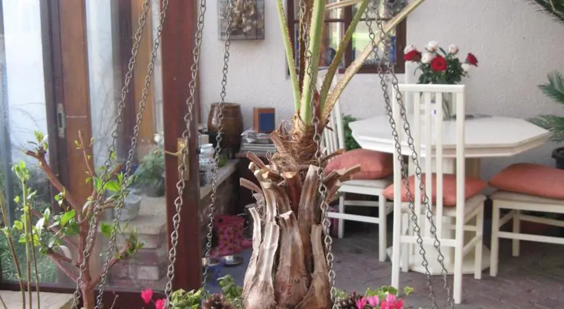 Woodshoot B&B