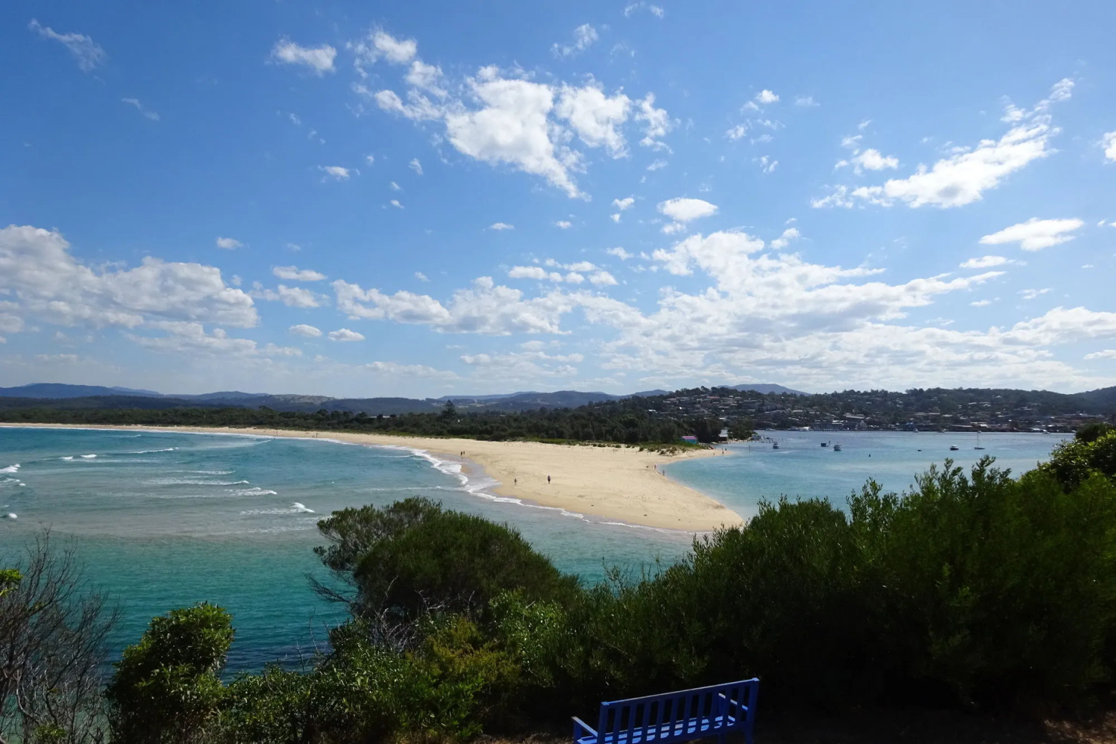 Black Dolphin Motel & Apartments