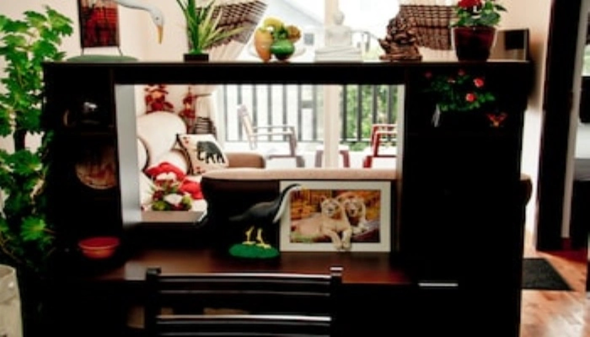 LOTUS Luxury Apartment