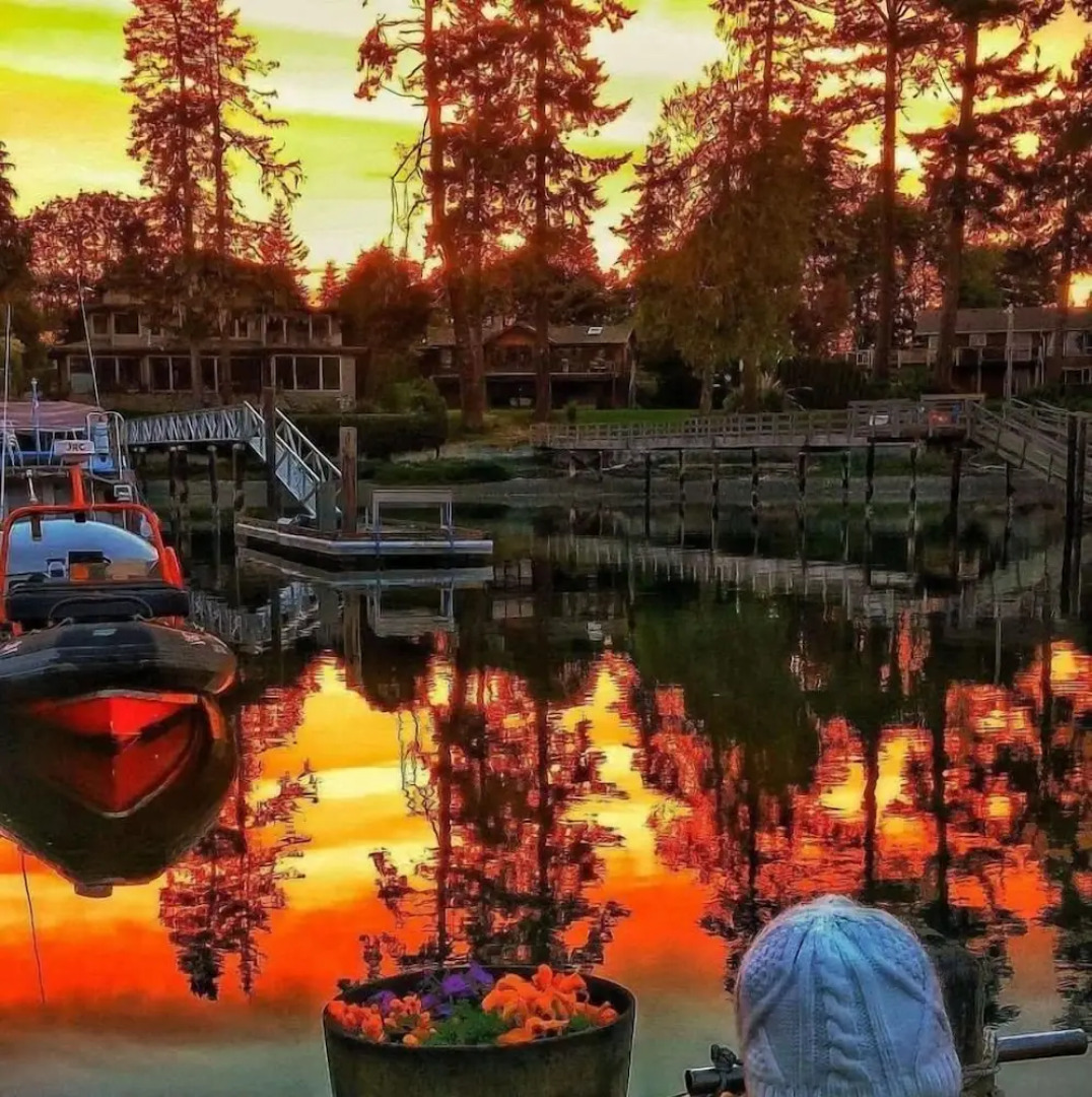 Salty Towers Oceanfront Cottages