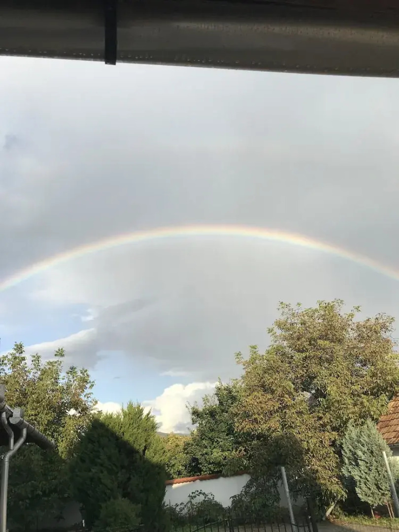 Petit Normandi Bistro  Panzi