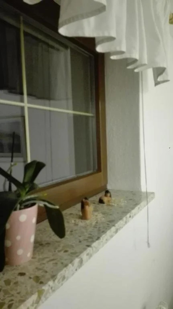 Gastezimmer Familie Muller