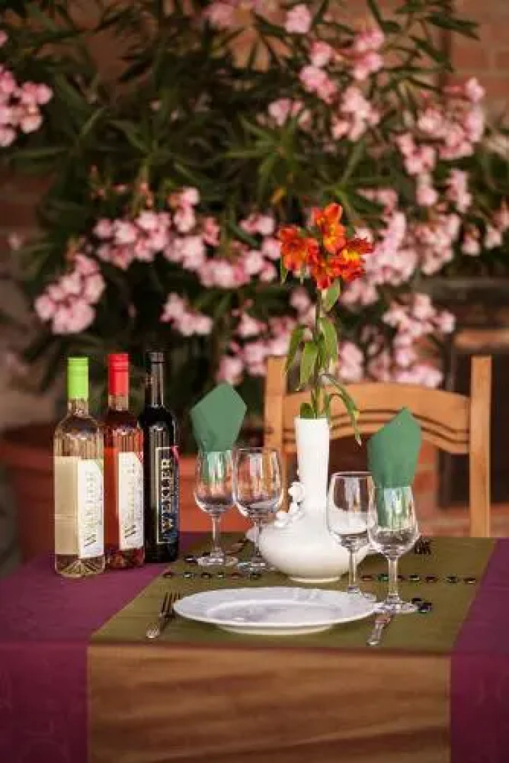 Wekler Családi Pincészet és Vendégház