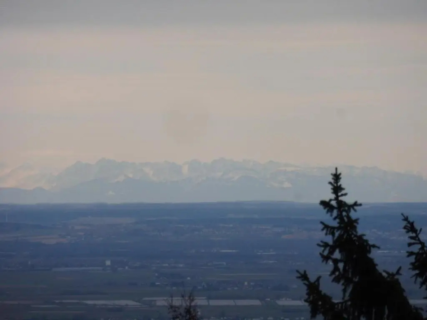 Komfortable Wohnungen Und Studio in Sankt Englmar