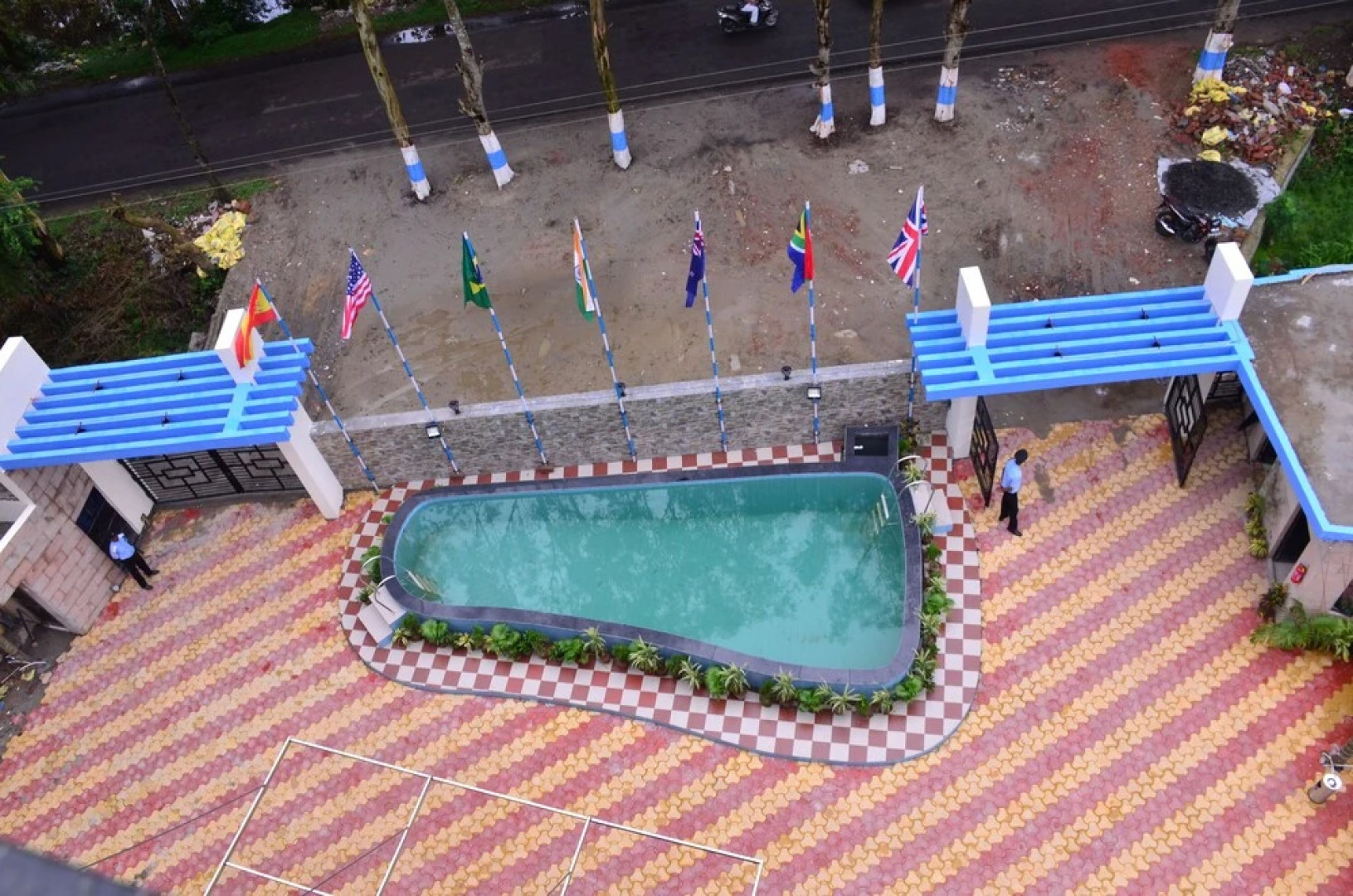 Dolphin Chocolate Inn