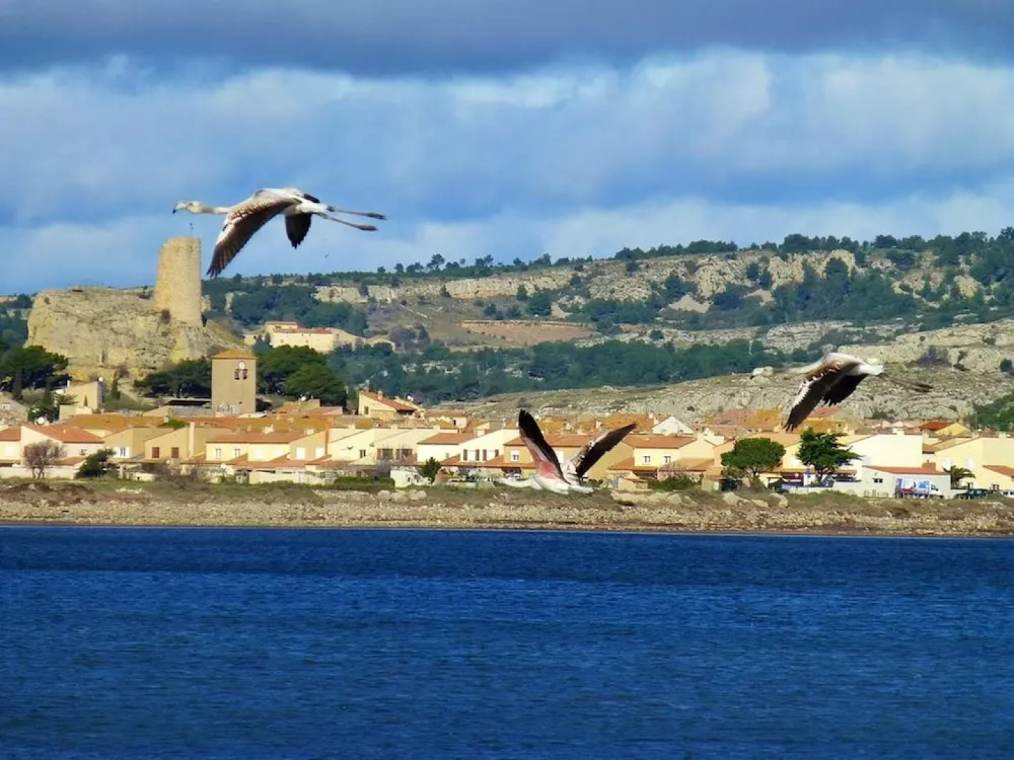 Apartment With 2 Bedrooms in Gruissan, With Wonderful sea View, Furnished Terrace and Wifi - 50 m From the Beach