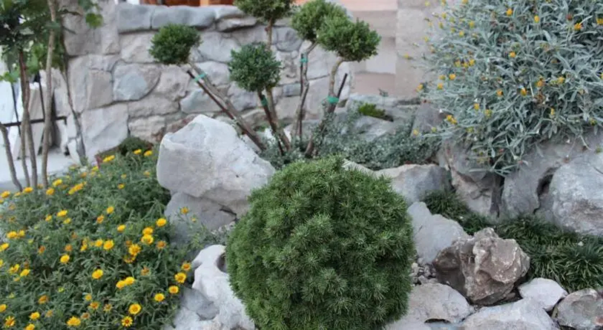 Holiday House Maslina