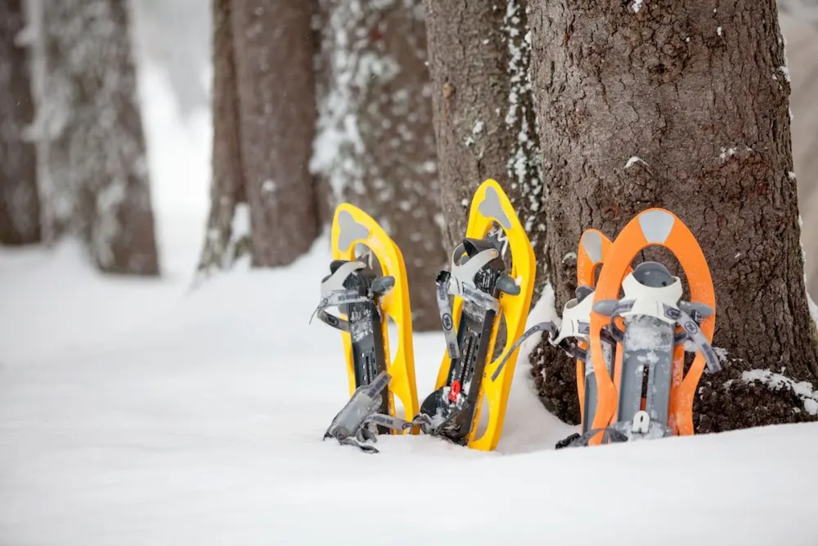 The Four Chimneys Inn