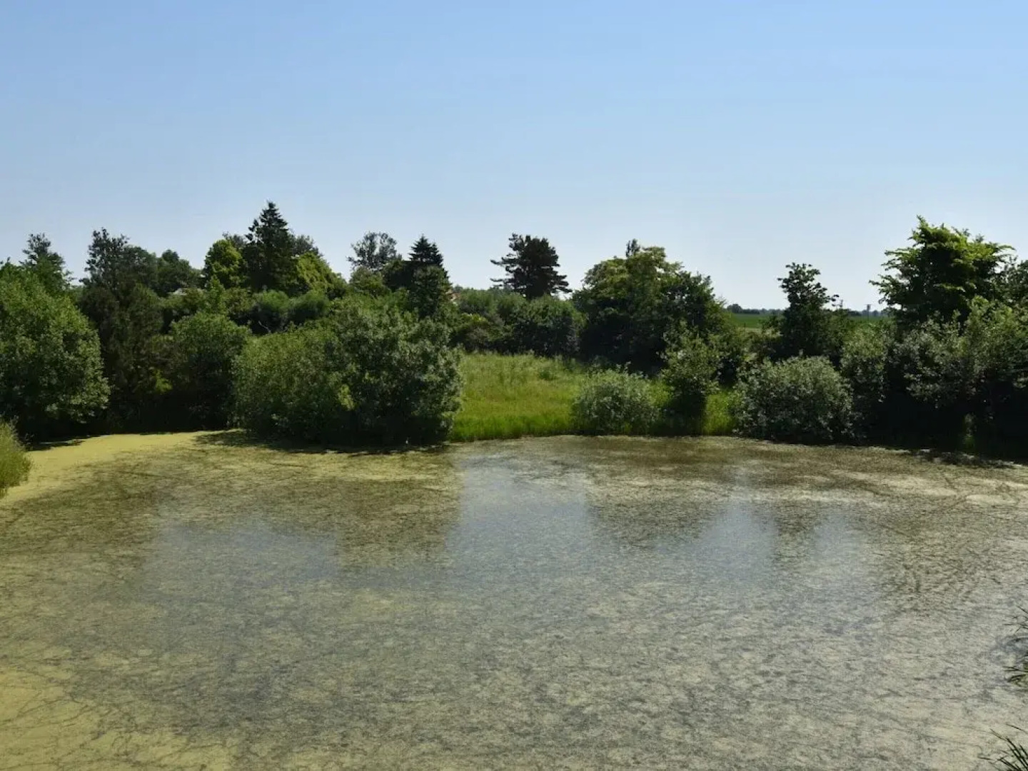 Rustic-style Apartment in Buschenhagen With Garden