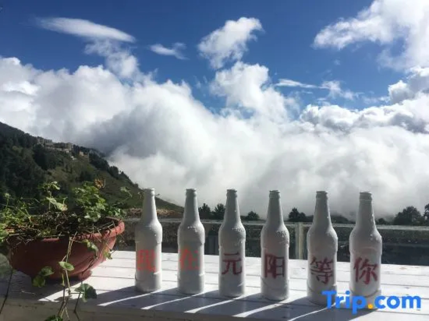 Yuanyang Yunhai Shanju