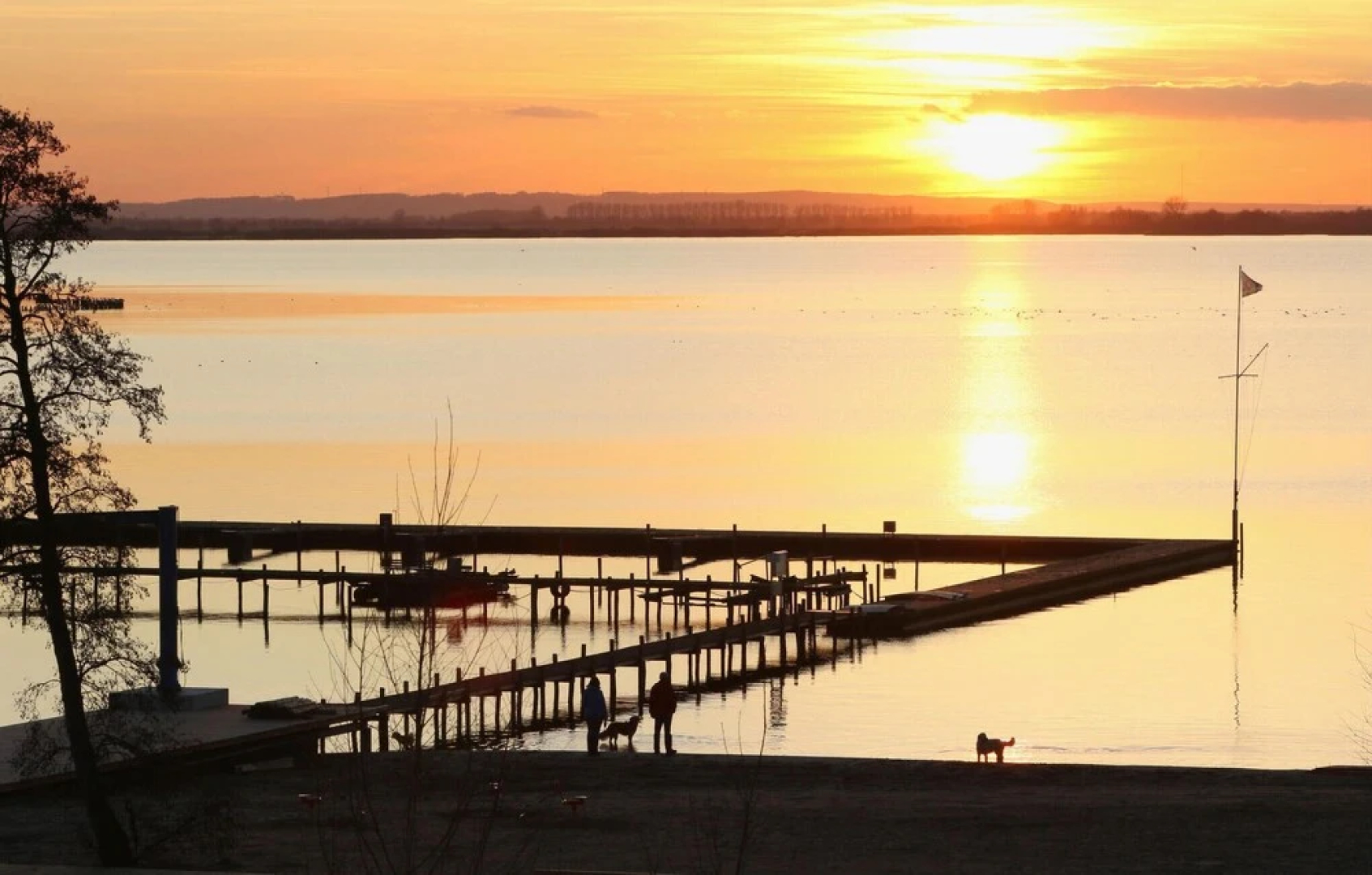 Amazing home in Lembruch/Dümmer See w/ Indoor swimming pool, WiFi and 5 Bedrooms