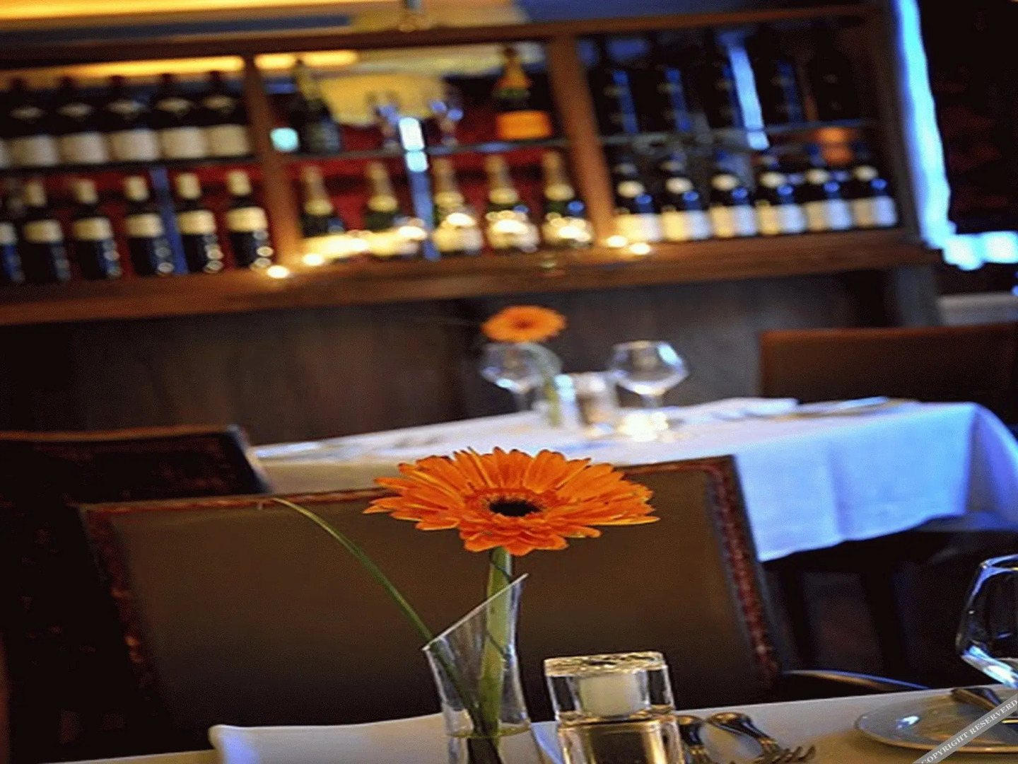 The Shirley Arms Hotel