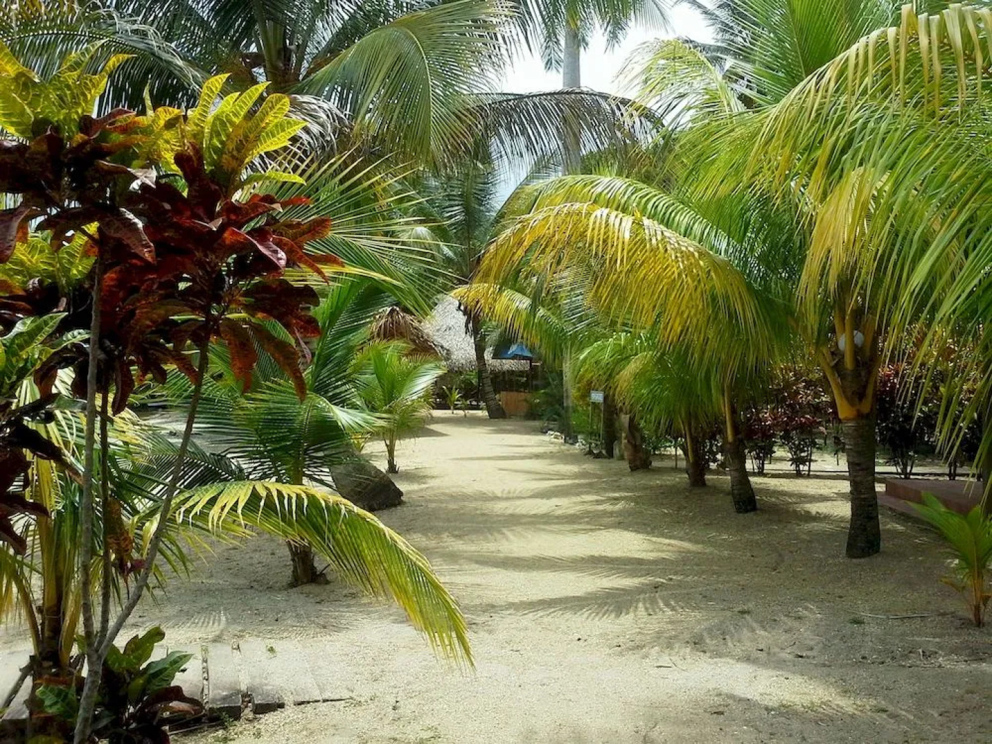 Dennys Beach Resort Hotel