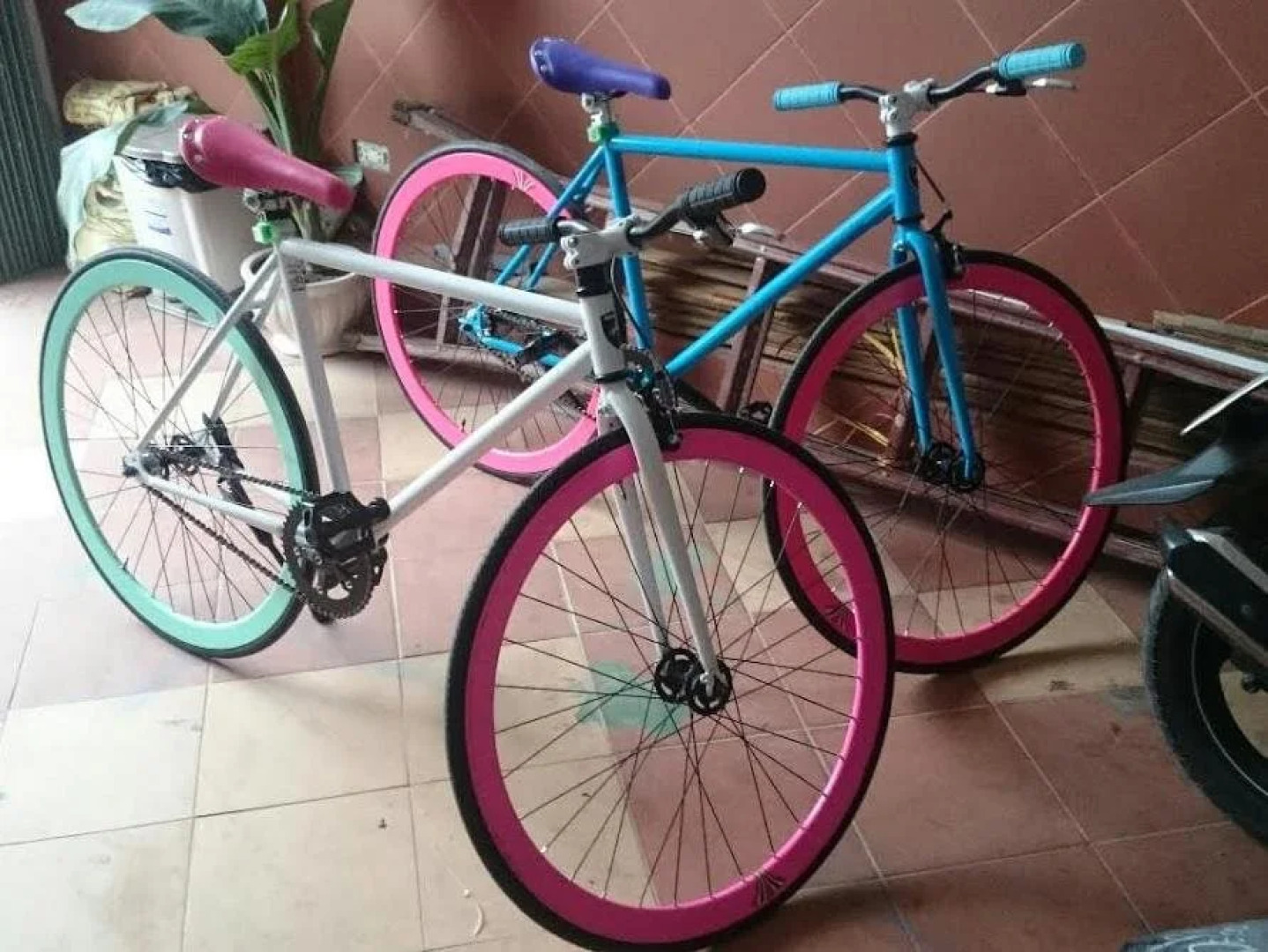 Little Home Hostel Nha Trang