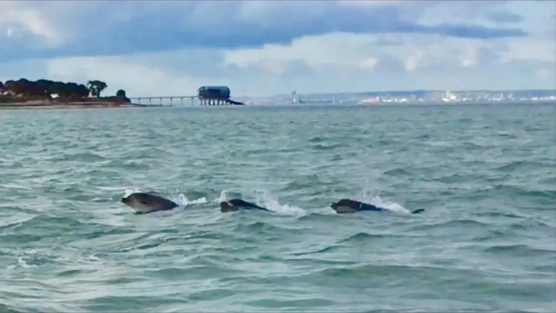 Blackberry 4 Bed Bembridge Holiday Home (Sleeps 6 Adults and 2 Children)