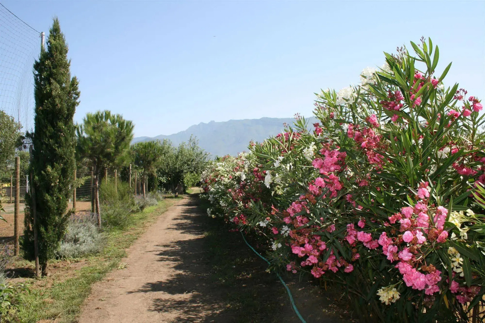 Azienda Agrituristica Vivi Natura