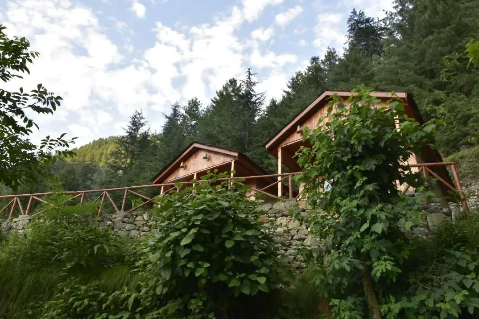 Forest Escape Cottages