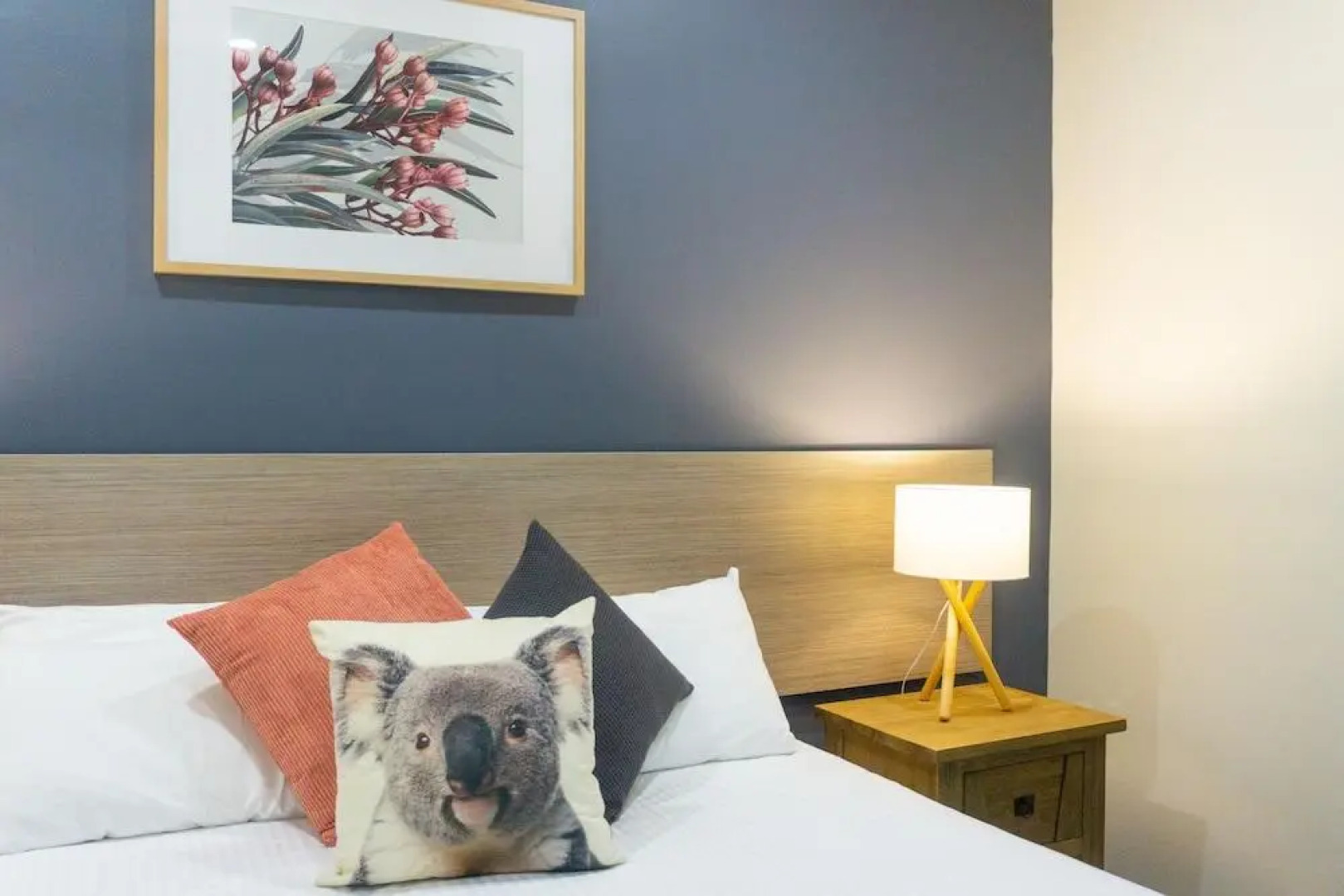 Port Stephens Koala Sanctuary