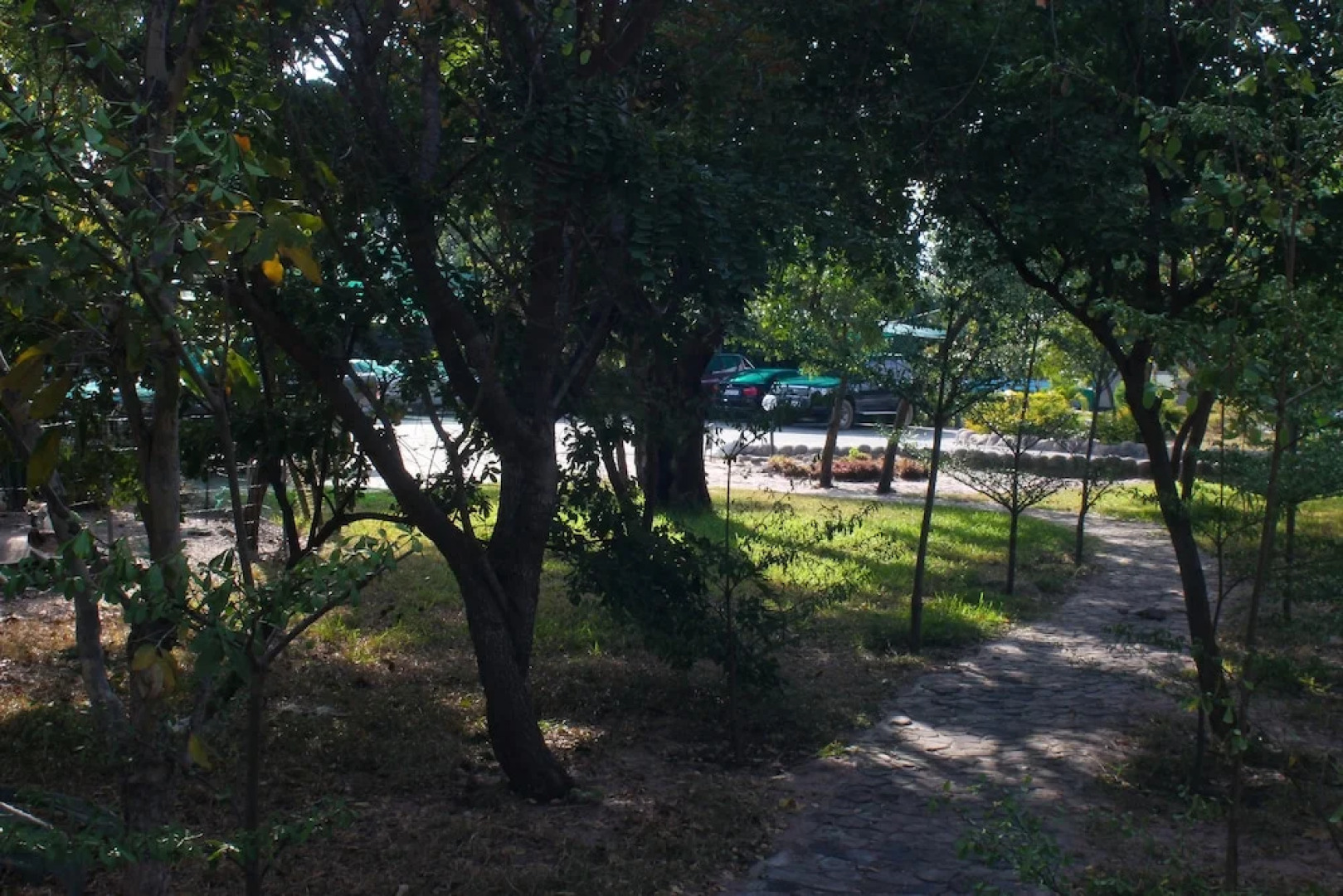 Acamms Gardens Lodge Mongu