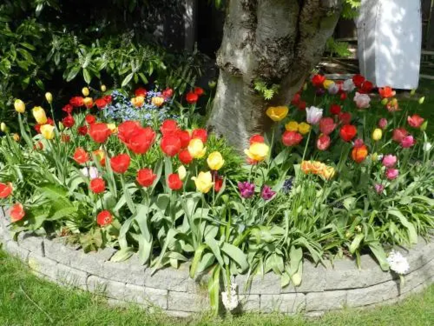 Serenity Bed and Breakfast