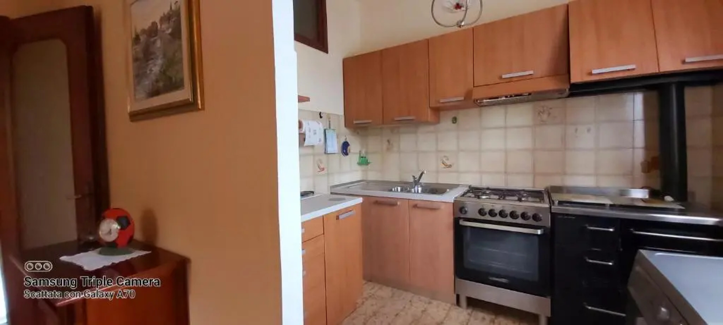 La Celeste a Montegaldella -Vi - Italia